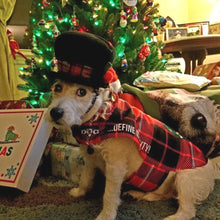 Load image into Gallery viewer, Christmas Angel in Disguise Dripping Dog Coat