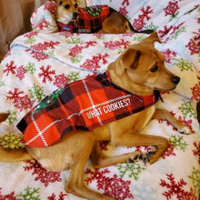 Load image into Gallery viewer, Christmas Angel in Disguise Dripping Dog Coat