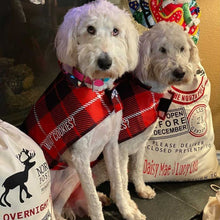 Load image into Gallery viewer, Christmas Angel in Disguise Dog Coat