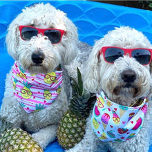 Load image into Gallery viewer, Daisy Mae and Lucy Lou Wearing Be a Pineapple / Summer Treats Reversible Dog Bandana