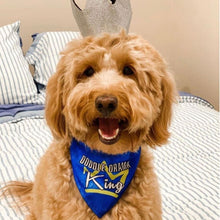 Load image into Gallery viewer, Doodle Drama King Dripping Dog Reversible Dog Bandana