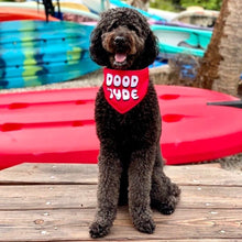 Load image into Gallery viewer, Dood 'Tude Dripping Dog Reversible Dog Bandana