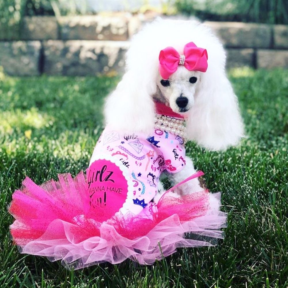 Girlz Just Wanna Have Fun Dog Coat - Dripping Dog Clothing