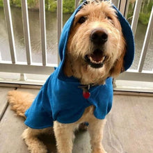 Load image into Gallery viewer, Beach Dood Hootie in Blue Dripping Dog Bathrobe