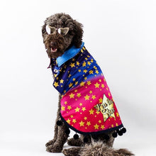 Load image into Gallery viewer, I'm a Star Dripping Dog Coat