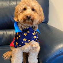 Load image into Gallery viewer, I'm a Star Dripping Dog Coat