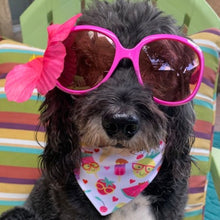 Load image into Gallery viewer, Ollie Wearing Be a Pineapple / Summer Treats Reversible Dog Bandana