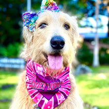 Load image into Gallery viewer, Only Love Dripping Dog Reversible Dog Bandana