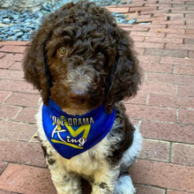 Load image into Gallery viewer, Jack in Poodle Drama King Reversible Dog Bandana
