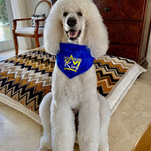 Load image into Gallery viewer, Poodle Drama King Dripping Dog Reversible Dog Bandana