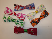 Load image into Gallery viewer, All Year Long Holiday Collar / Leash Bowtie Collection (small-medium)
