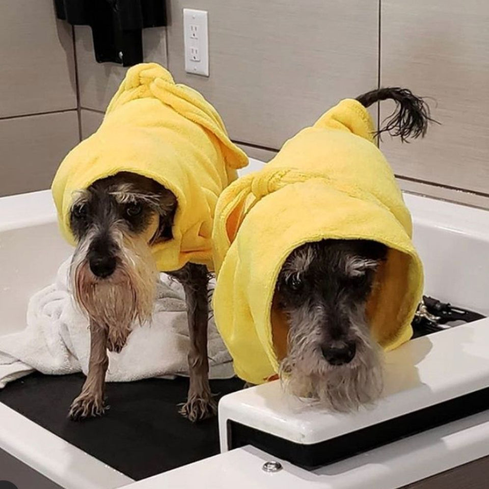 Dogs in Dripping Dog Bathrobes