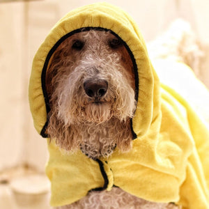 Sheldon Wrapped in a Dripping Dog Bathrobe
