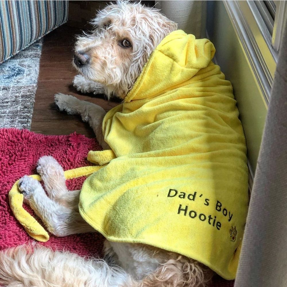 Dog In Bathrobe Dog Bathrobe - Dry Your Dog Quick - Dripping Dog Clothing