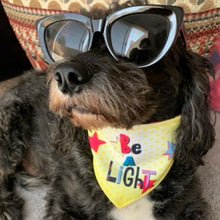 Load image into Gallery viewer, Ollie in Be a Light Reversible Dog Bandana
