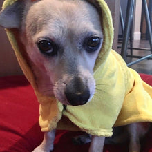 Load image into Gallery viewer, Small Dog in a Dripping Dog Bathrobe
