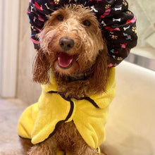 Load image into Gallery viewer, Dog in Dripping Dog Bathrobe After a Bath
