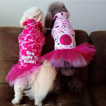 Load image into Gallery viewer, Girlz Just Wanna Have Fun! Dripping Dog Coat
