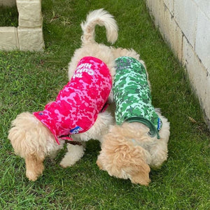 Too Cute to Hide! Dripping Dog Coat
